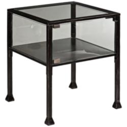 Terrance 21" Wide Metal and Glass Display Case End Table