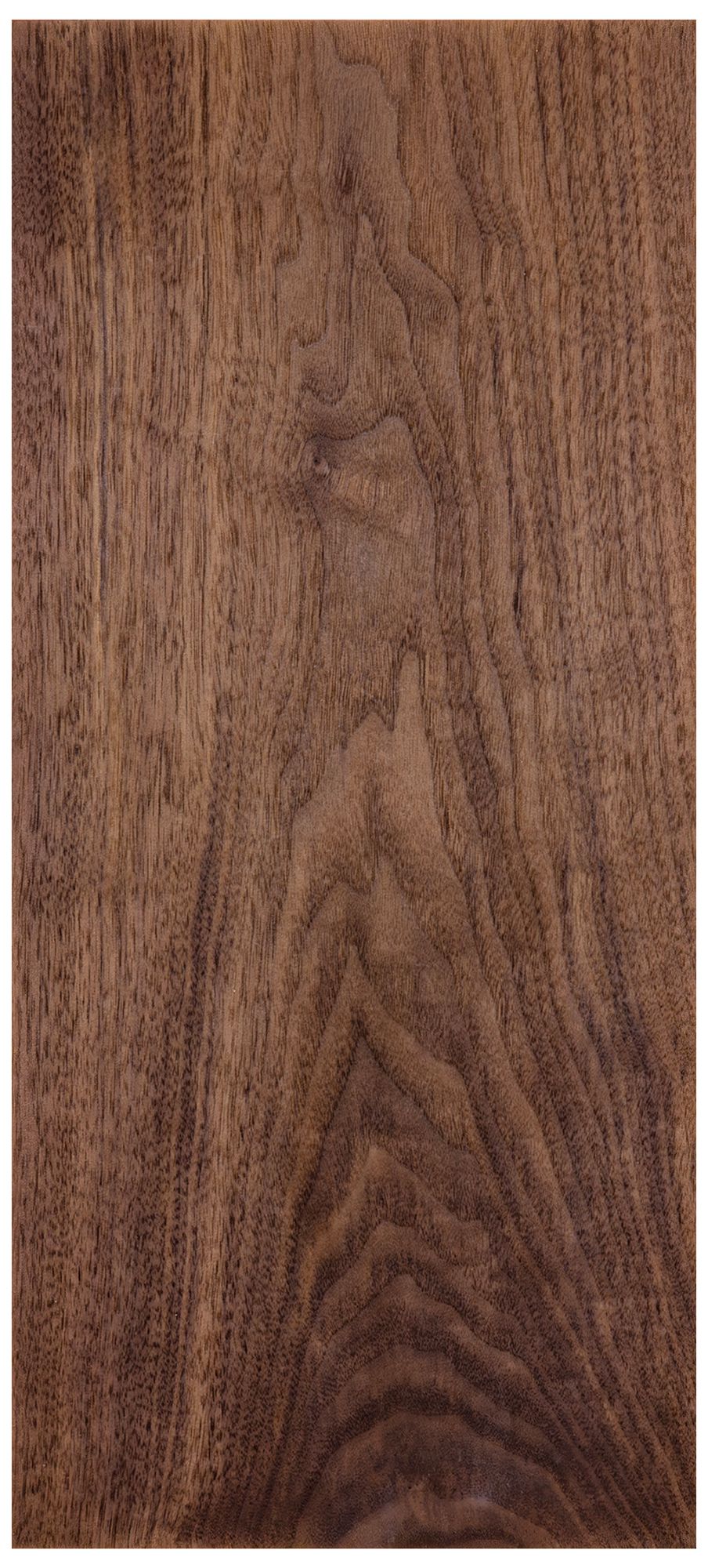 Tersus L 15" High Walnut 3500K Cool White Wall Sconce - Made to Order