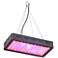 Tesler 120 Watt Rectangular Indoor LED Grow Light