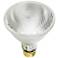 Tesler 39 Watt PAR30  Long Neck Light Bulb