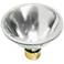 Tesler 39 Watt PAR30 Narrow Beam Light Bulb