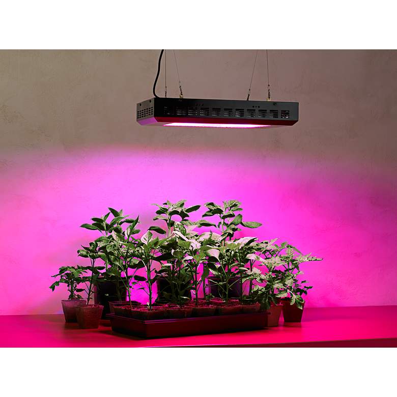 Tesler  Hydroponic 300 Watt Rectangular LED Grow Light more views