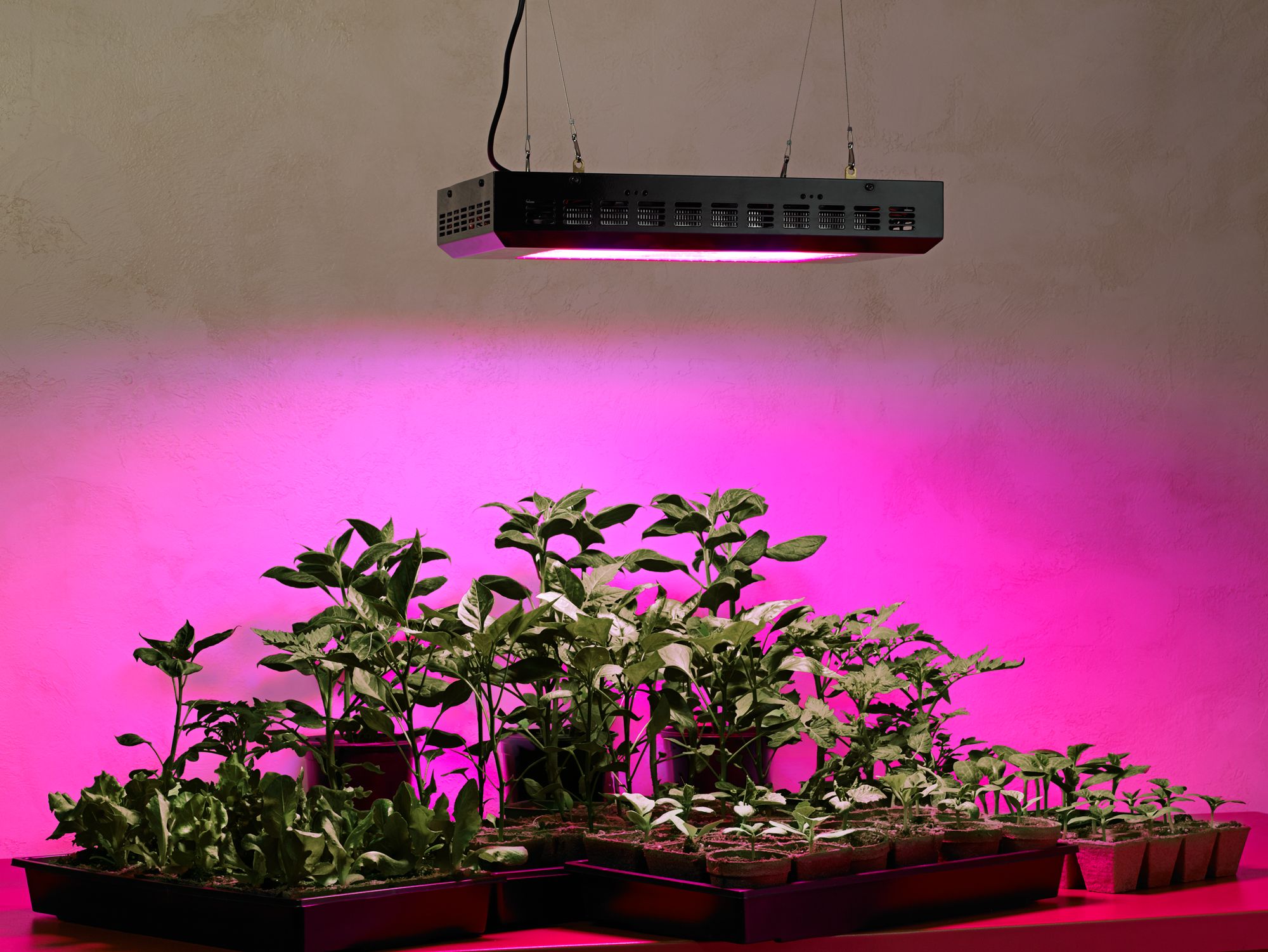 600 led grow light