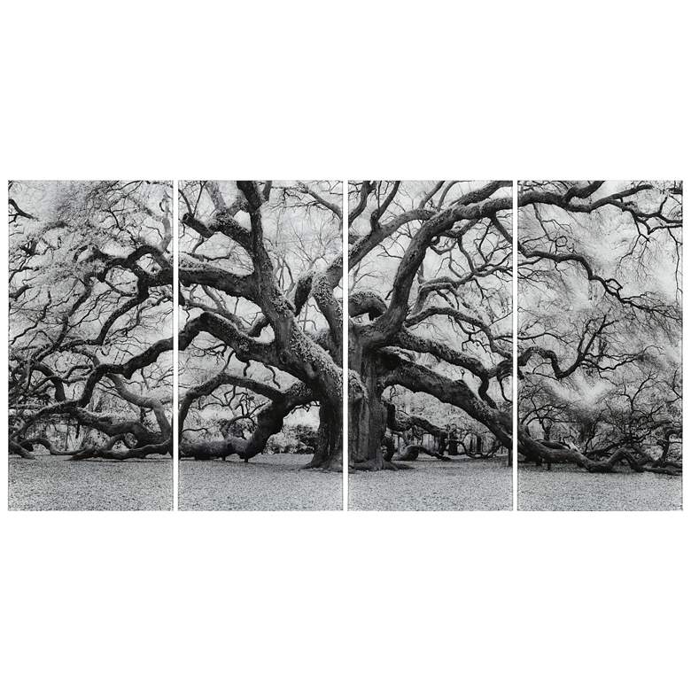 Image 1 The Angel Oak ABCD Frameless Reverse Printed Tempered Glass Wall Art Set
