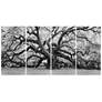 1_The Angel Oak ABCD Frameless Reverse Printed Tempered Glass Wall Art Set
