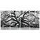 The Angel Oak ABCD Frameless Reverse Printed Tempered Glass Wall Art Set
