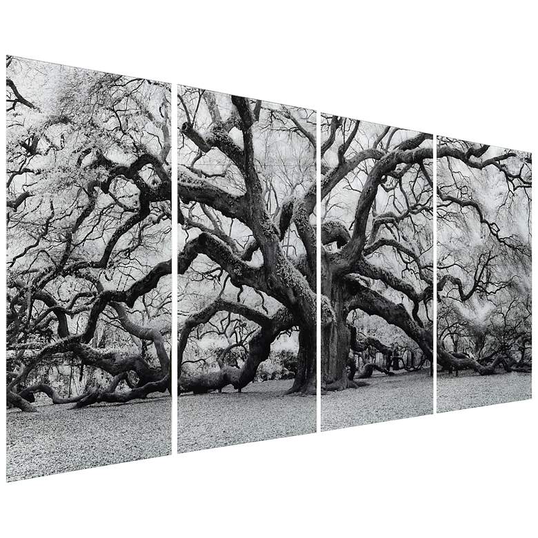 Image 2 The Angel Oak ABCD Frameless Reverse Printed Tempered Glass Wall Art Set more views