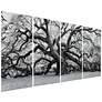 2_The Angel Oak ABCD Frameless Reverse Printed Tempered Glass Wall Art Set more views