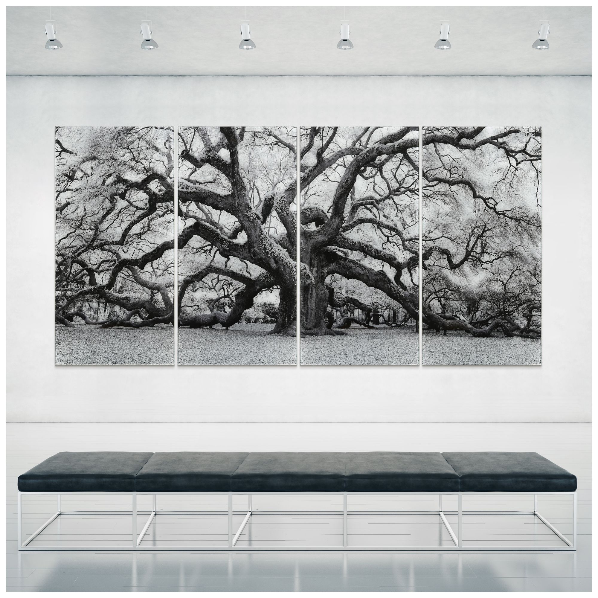 Image 4 The Angel Oak ABCD Frameless Reverse Printed Tempered Glass Wall Art Set more views
