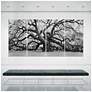 4_The Angel Oak ABCD Frameless Reverse Printed Tempered Glass Wall Art Set more views