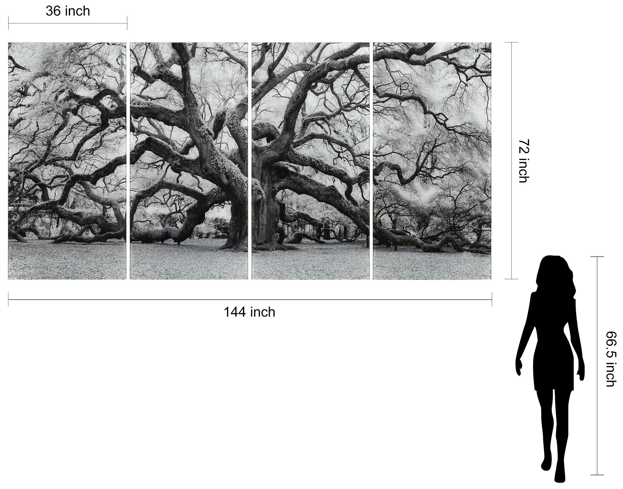 The Angel Oak ABCD Frameless Reverse Printed Tempered Glass Wall Art Set