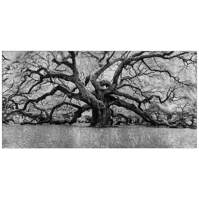 Image 2 The Angel Oak Reverse Printed Tempered Glass with Silver Leaf Wall Art