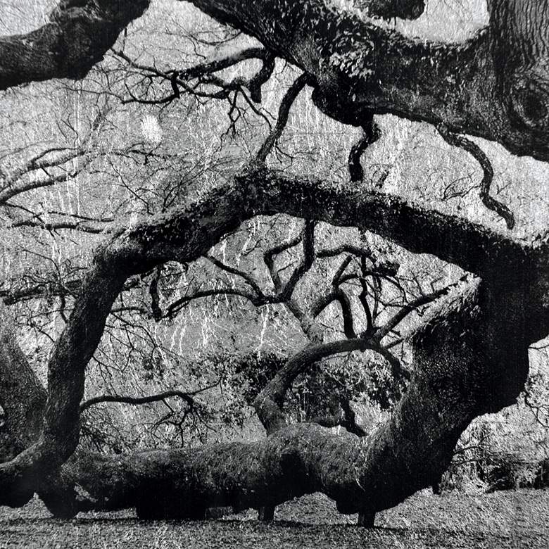 Image 3 The Angel Oak Reverse Printed Tempered Glass with Silver Leaf Wall Art more views