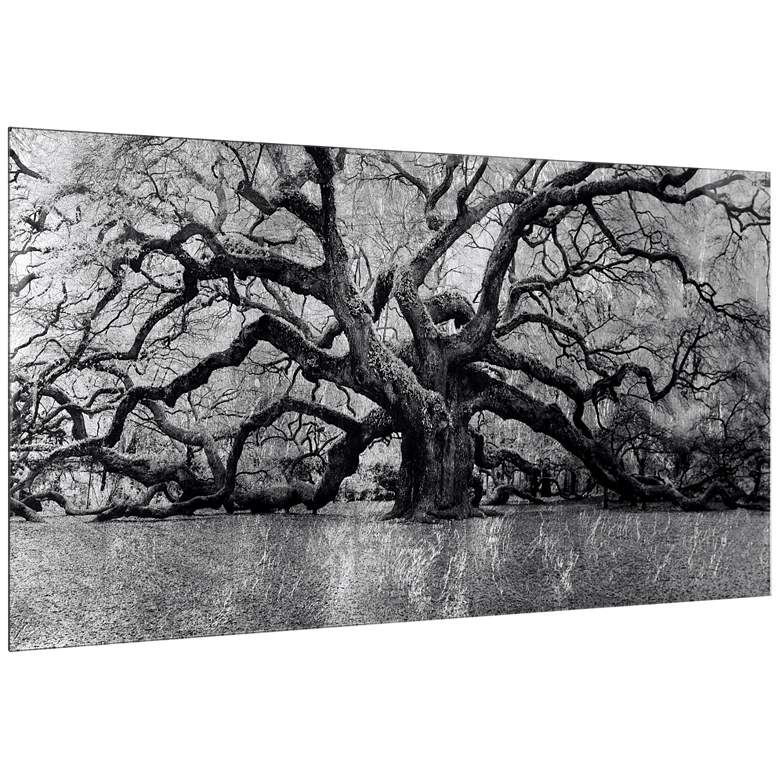 Image 4 The Angel Oak Reverse Printed Tempered Glass with Silver Leaf Wall Art more views