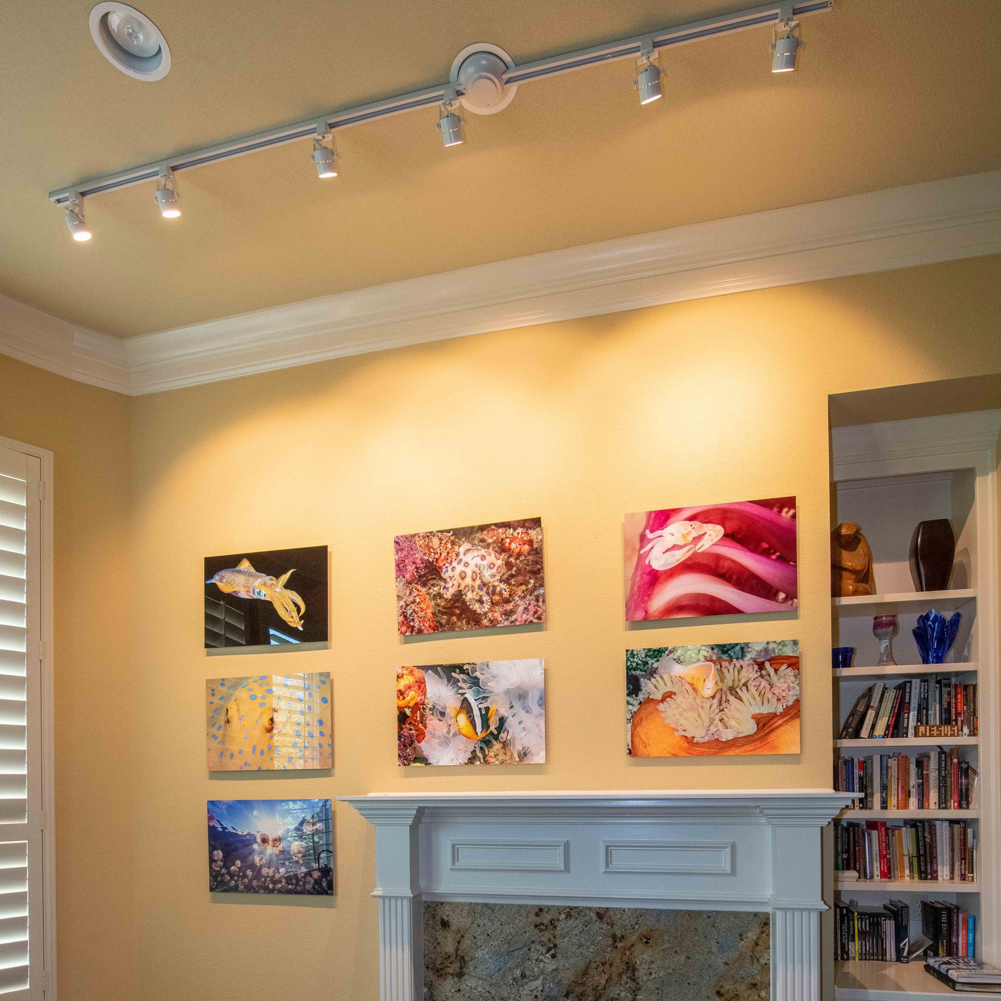 The Can Converter - Recessed Can Light Conversion Kit