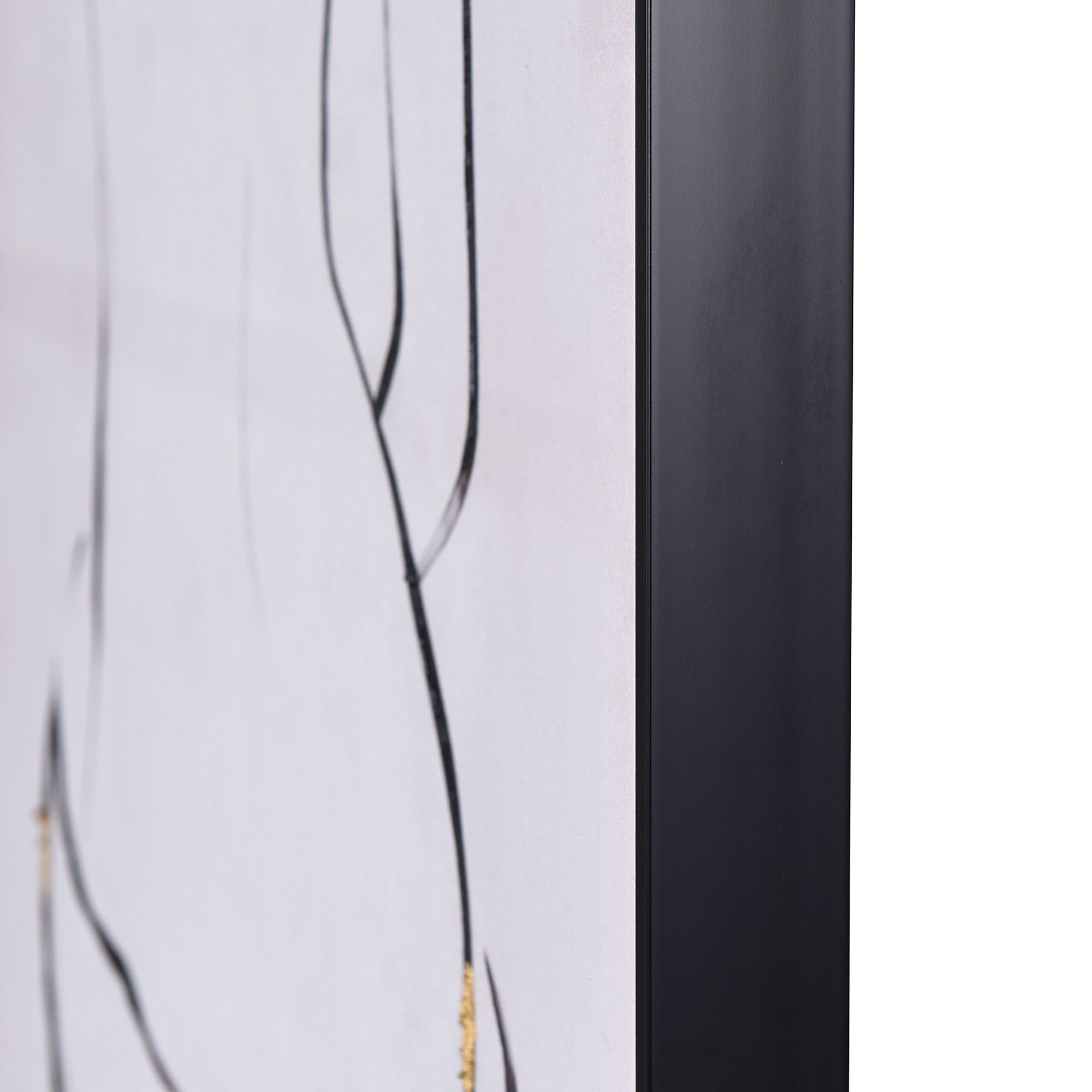 Image 4 The Female Form: Part I Art Print On Canvas Framed more views