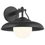 The Great Outdoors Cameo Shores 1-Light Black Outdoor Wall Mount