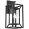 The Great Outdoors Harbor View 2-Light 9.5-in Black Outdoor Wall Sconce