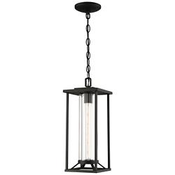 The Great Outdoors  Trescott 1-Light Sand Coal Outdoor Chain Hung Lantern