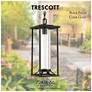 3_The Great Outdoors  Trescott 1-Light Sand Coal Outdoor Chain Hung Lantern more views