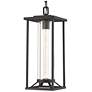 4_The Great Outdoors  Trescott 1-Light Sand Coal Outdoor Chain Hung Lantern more views