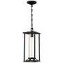 6_The Great Outdoors  Trescott 1-Light Sand Coal Outdoor Chain Hung Lantern more views