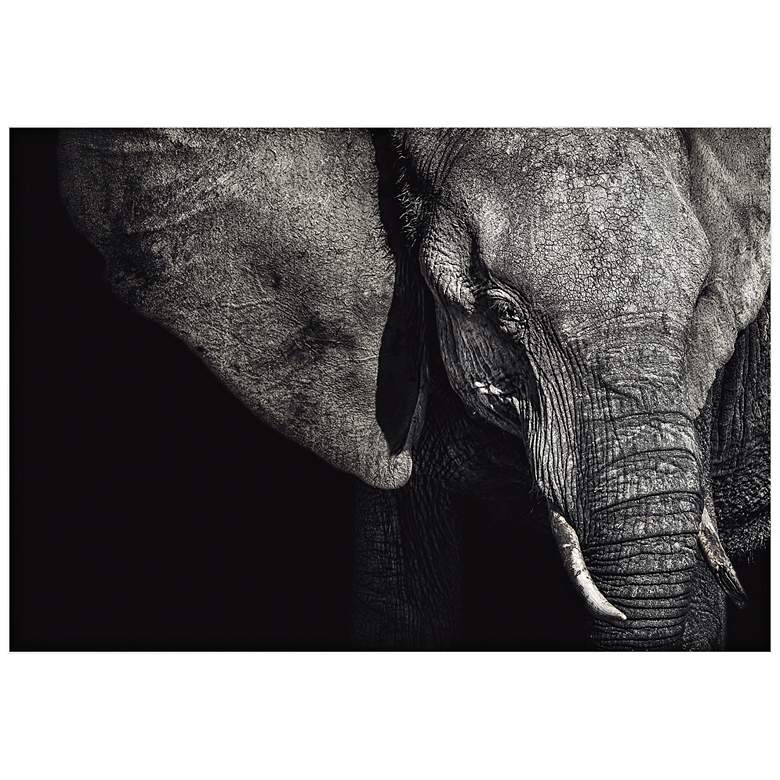 Image 1 The Matriarch Elephant 32 inch Wide Wall Art Print