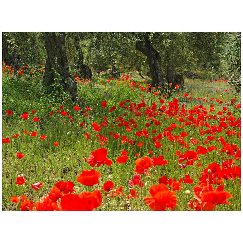 Image 1 The Olive Grove 40"W All-Weather Indoor-Outdoor Wall Art