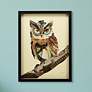 1_The Wisest Owl 25" High Dimensional Collage Framed Wall Art