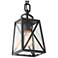 Theoa 11" High Black Glass Outdoor Hanging Light