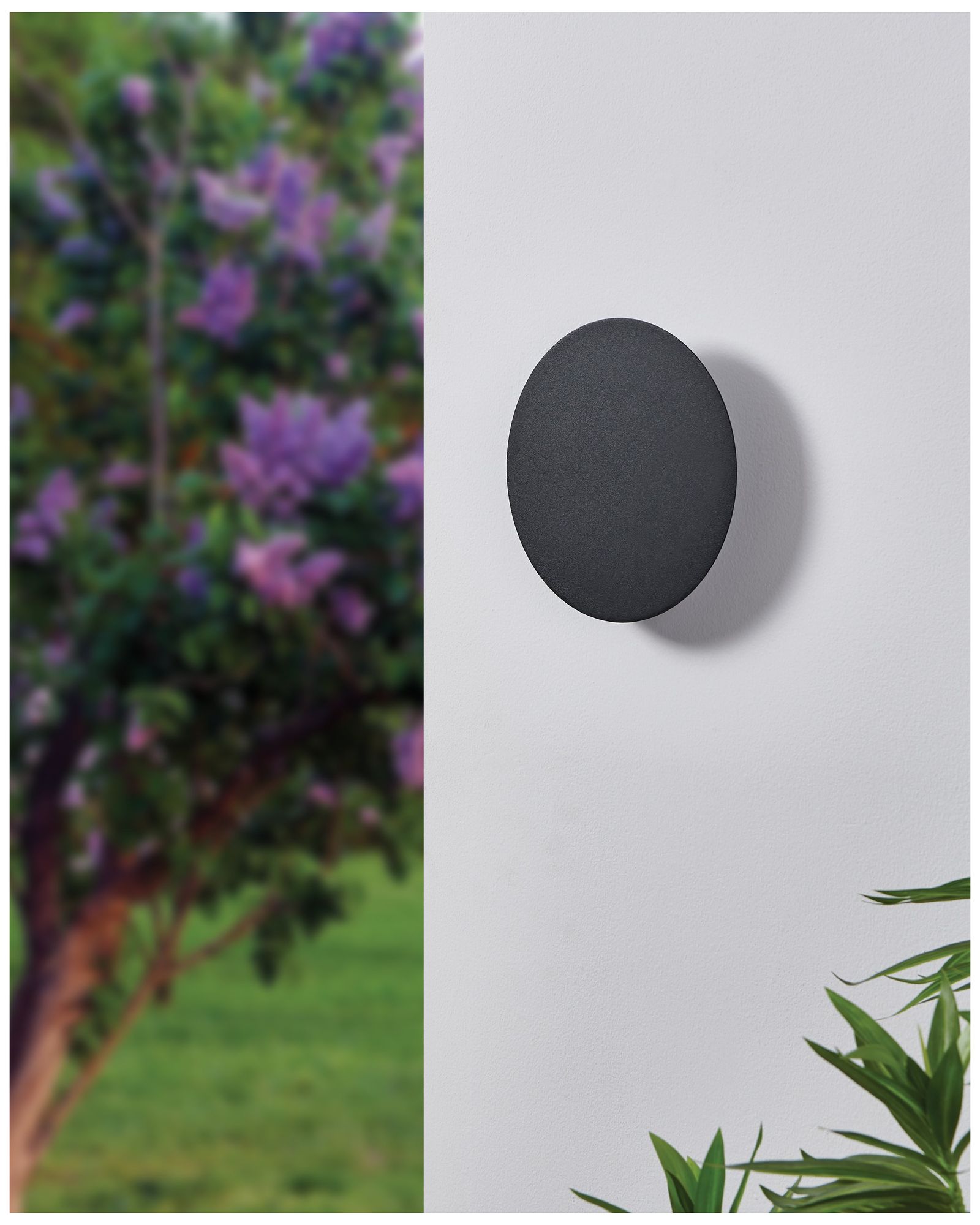 Thesis Alamilo 8 inch 1-light Black LED Exterior Wall Sconce