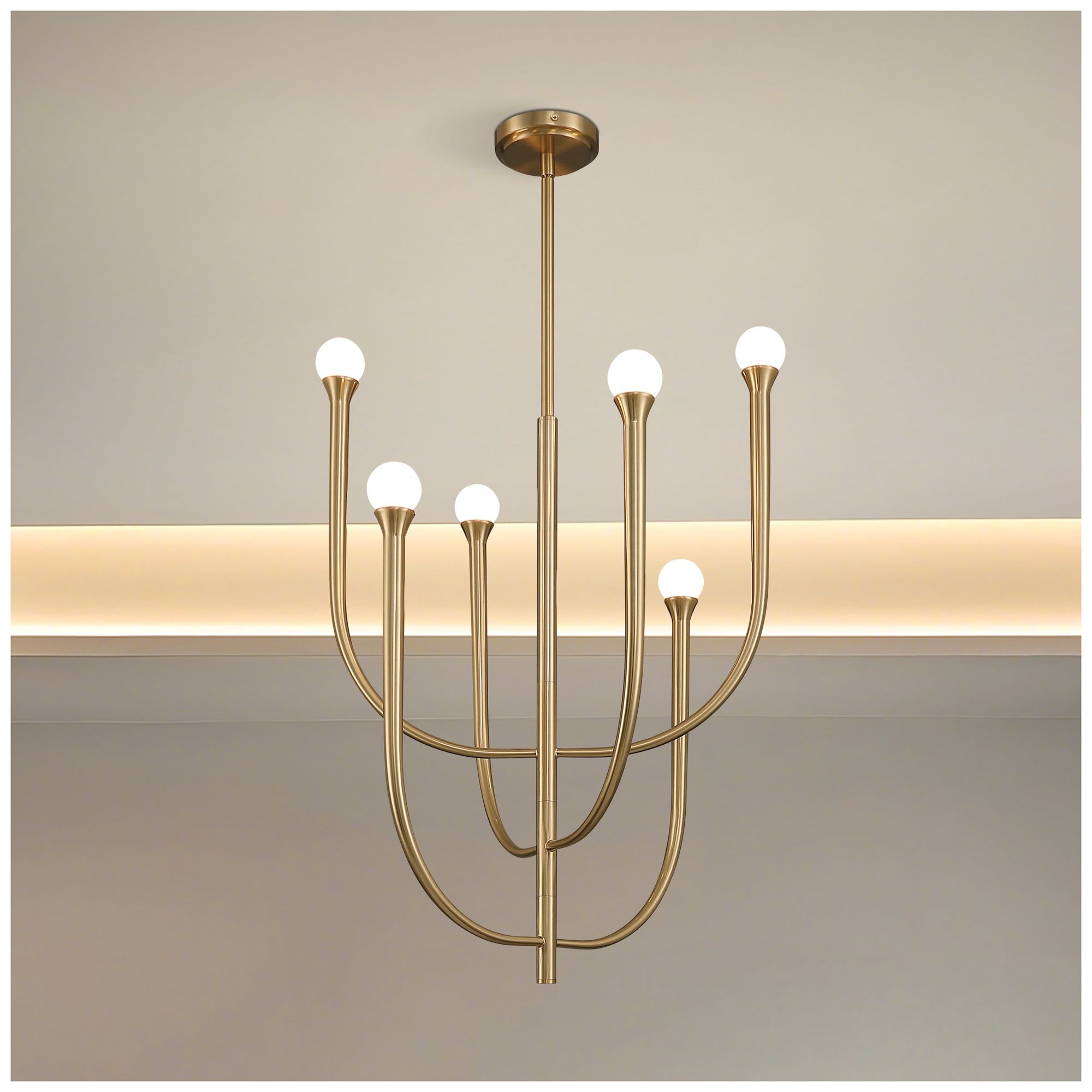 Thesis Dahlia Black Collection