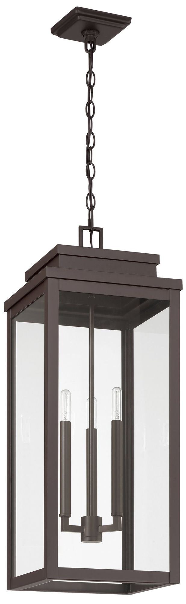 Thesis Hillside 11 in. 3 Lt Dark Bronze Exterior Pendant Light, Clear Glass