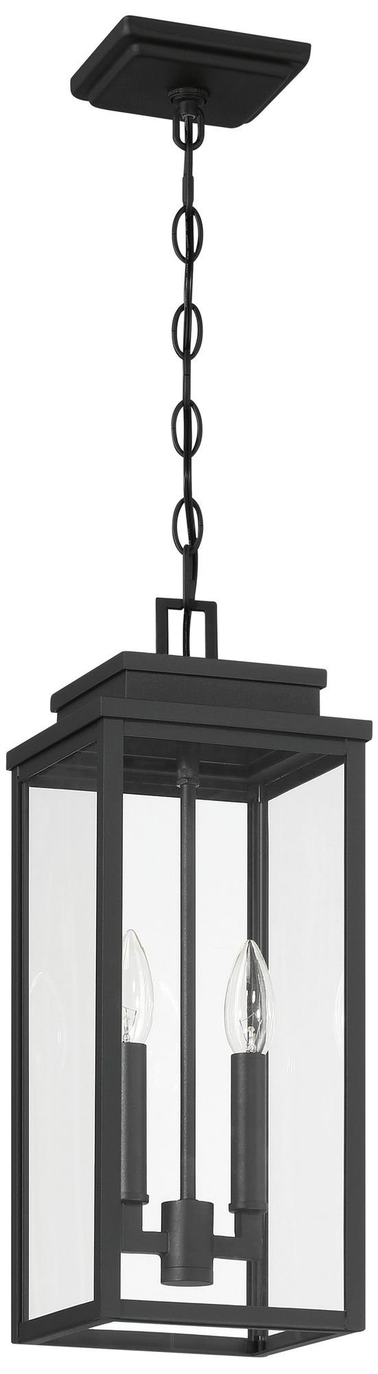 Thesis Hillside 2 Light Exterior Pendant Light, Black w/ Clear Glass