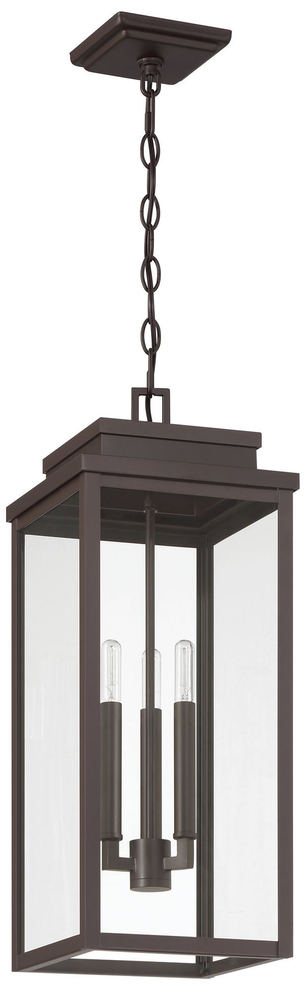Thesis Hillside 9 in. 3 Lt Dark Bronze Exterior Pendant Light, Clear Glass