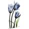 Three Blue Tulips 48" High Tempered Glass Graphic Wall Art