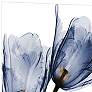 Three Blue Tulips 48" High Tempered Glass Graphic Wall Art in scene
