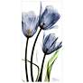 Three Blue Tulips 48" High Tempered Glass Graphic Wall Art in scene