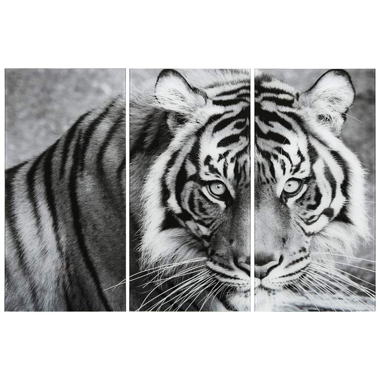 Image 1 Tiger ABC" Frameless Reverse Printed Tempered Glass Wall Art Set of 3