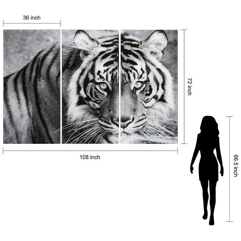 Image 7 Tiger ABC" Frameless Reverse Printed Tempered Glass Wall Art Set of 3 more views