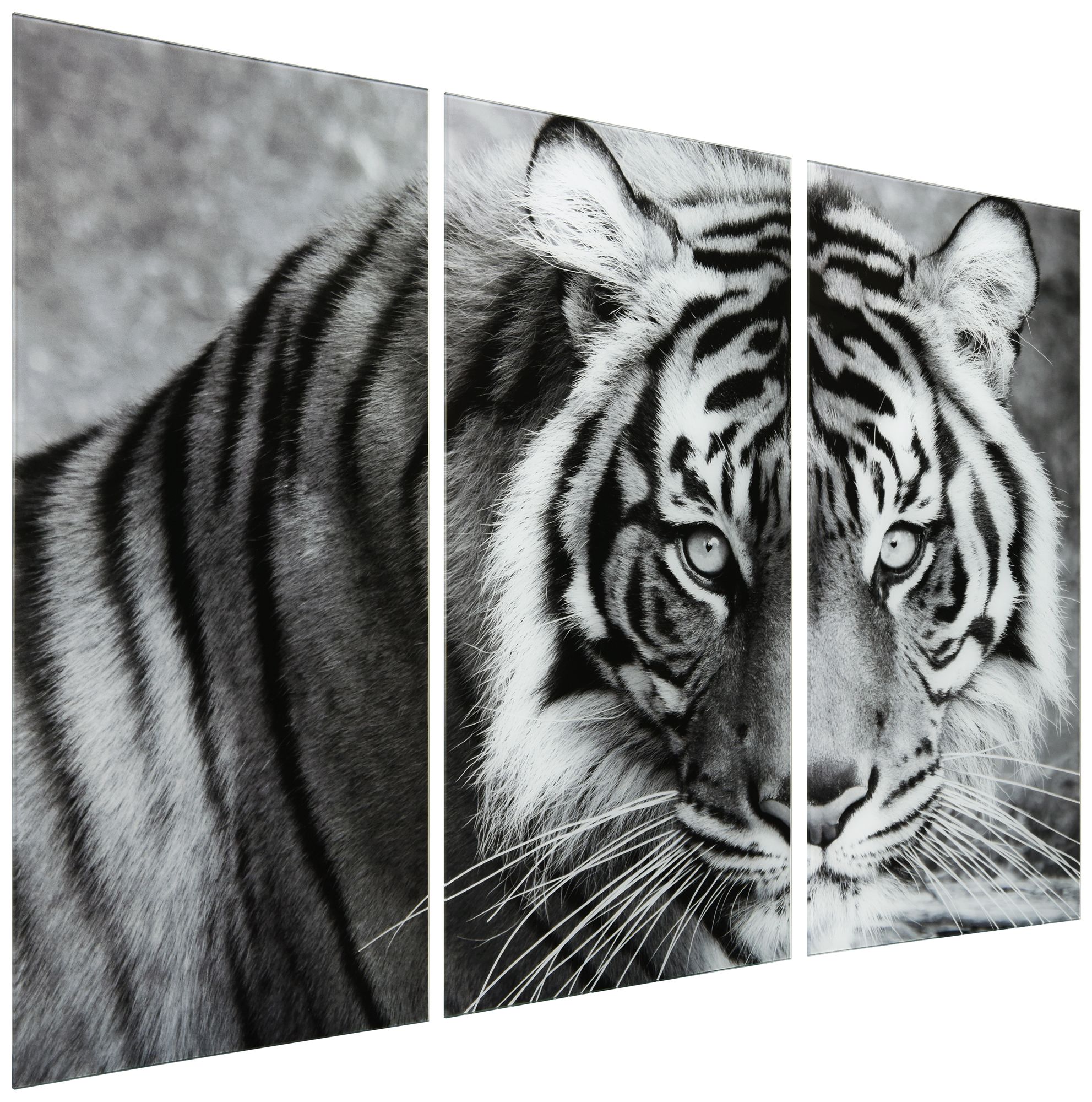 Image 2 Tiger ABC" Frameless Reverse Printed Tempered Glass Wall Art Set of 3 more views