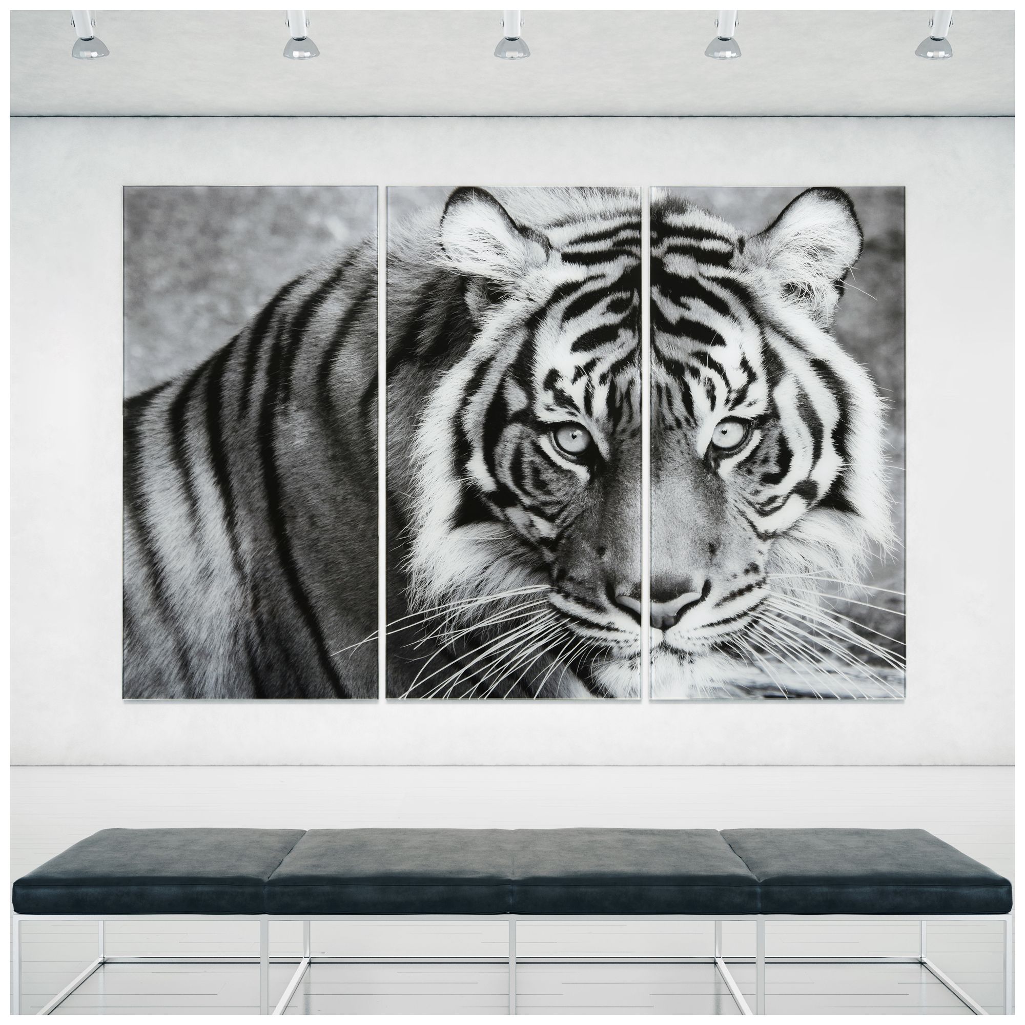 Image 3 Tiger ABC" Frameless Reverse Printed Tempered Glass Wall Art Set of 3 more views