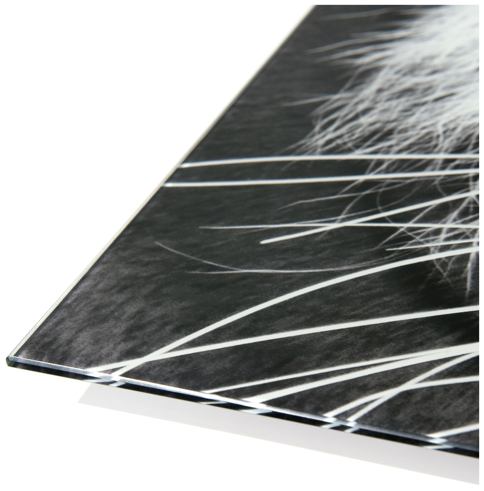 Image 5 Tiger ABC" Frameless Reverse Printed Tempered Glass Wall Art Set of 3 more views