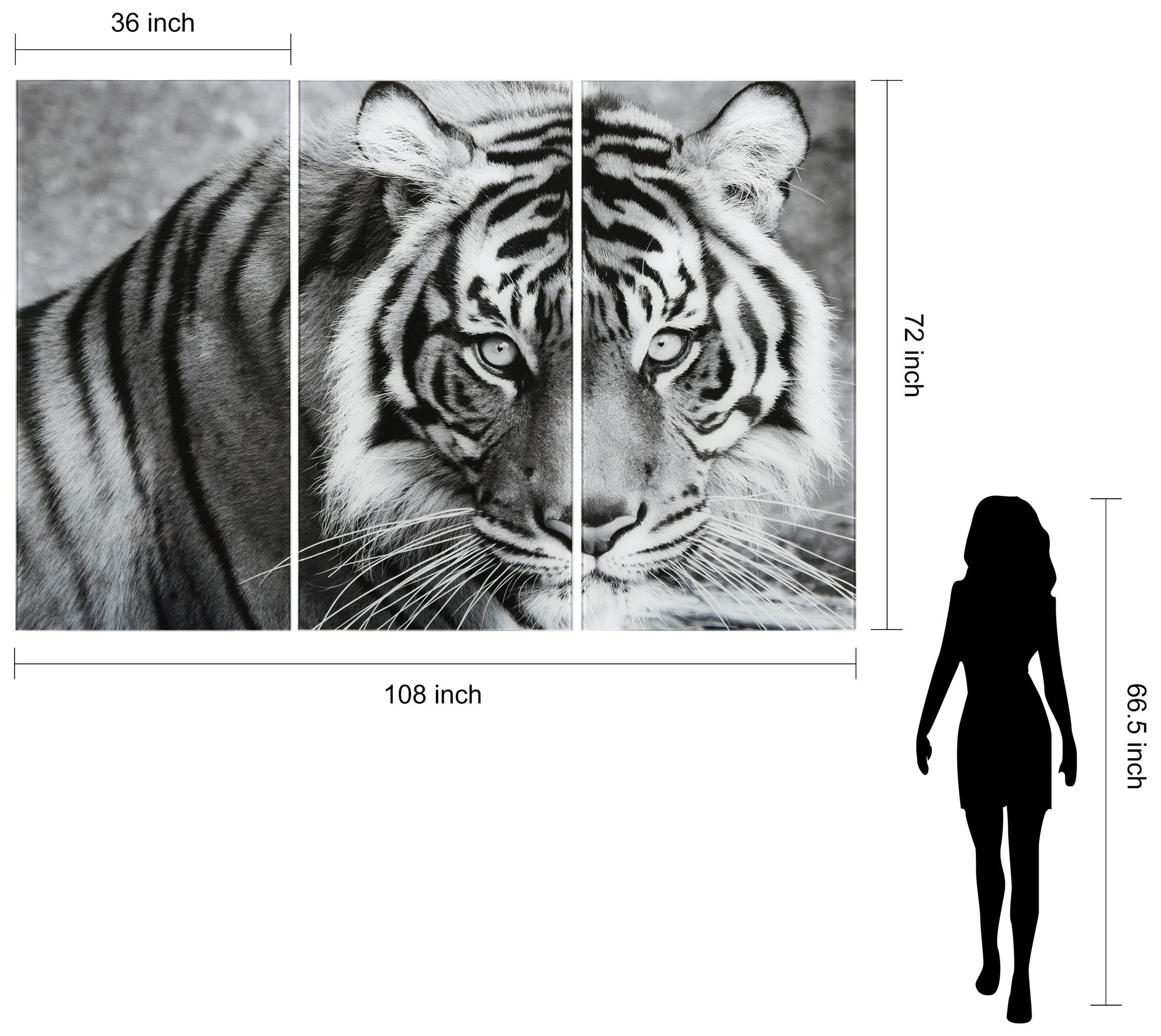 Image 7 Tiger ABC" Frameless Reverse Printed Tempered Glass Wall Art Set of 3 more views