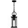 Tilmore 1-Light Matte Black Mini Pendant Light