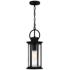 Tilmore 1-Light Matte Black Mini Pendant Light