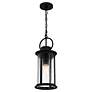 4_Tilmore 1-Light Matte Black Mini Pendant Light more views