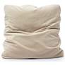 1_Tipsy Taupe Fabric 20" Square Floppy Pillow