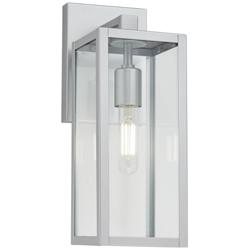 Titan 14&quot; High Clear Glass and Silver Outdoor Wall Light