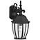 Tiverton 18 1/4" High Clear Glass Black Traditional Outdoor Wall Light